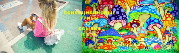 дурь Абинск