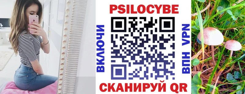 сколько стоит  Ладушкин  мориарти состав  Галлюциногенные грибы Cubensis 